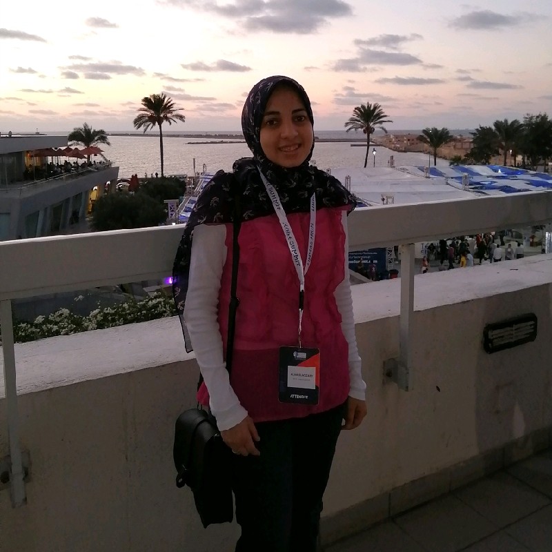 Alaa El Nozahy